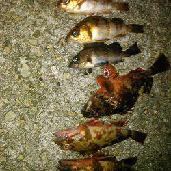 Ｆシステムってなぁーんだの巻